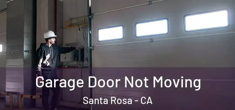  Garage Door Not Moving Santa Rosa - CA