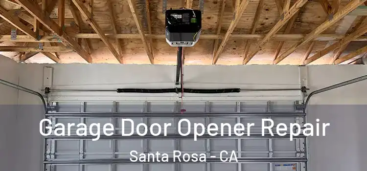  Garage Door Opener Repair Santa Rosa - CA