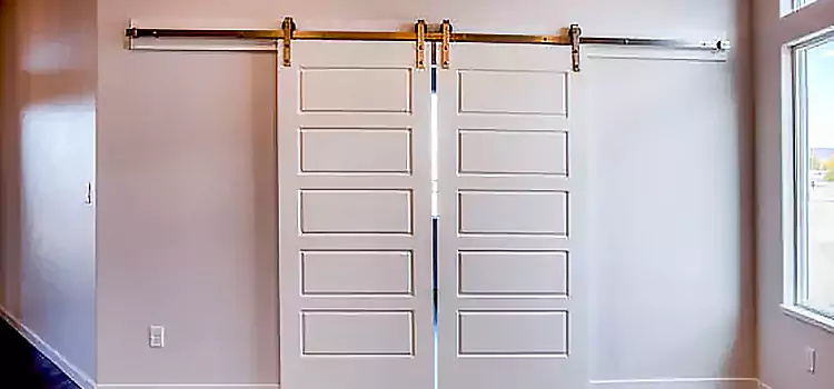 Glass Barn Door with Installation Hardware Kit Santa Rosa