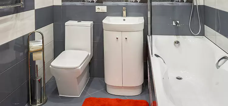 Hansgrohe Shaving Mirror Santa Rosa